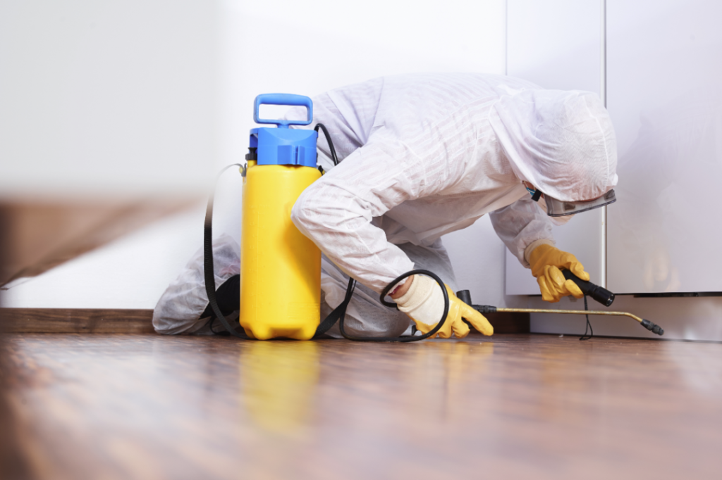 Seal Your Home Against Pests In 5 Easy Steps